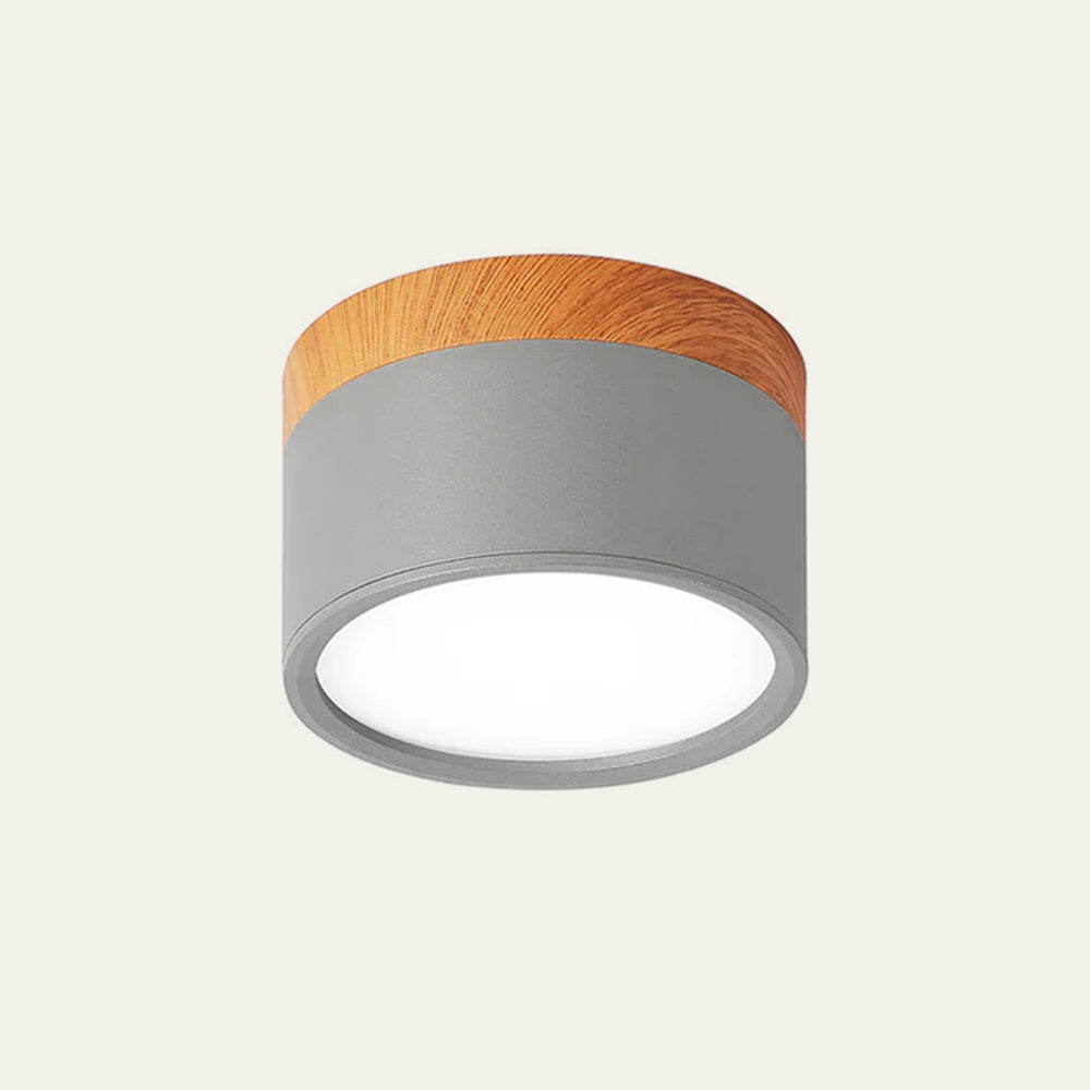 Small Cylinder Flush Ceiling Light – Aluminium, 2 Sizes (5W/7W)