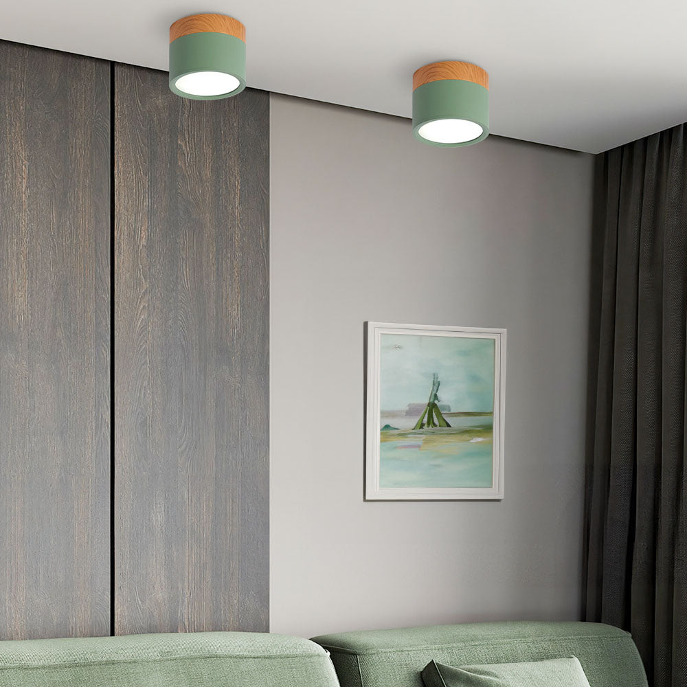 Small Cylinder Flush Ceiling Light – Aluminium, 2 Sizes (5W/7W)