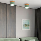 Small Cylinder Flush Ceiling Light – Aluminium, 2 Sizes (5W/7W)