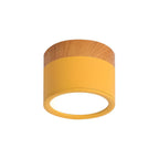 Small Cylinder Flush Ceiling Light – Aluminium, 2 Sizes (5W/7W)