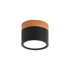Small Cylinder Flush Ceiling Light – Aluminium, 2 Sizes (5W/7W)