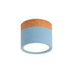 Small Cylinder Flush Ceiling Light – Aluminium, 2 Sizes (5W/7W)