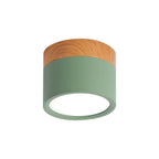 Small Cylinder Flush Ceiling Light – Aluminium, 2 Sizes (5W/7W)