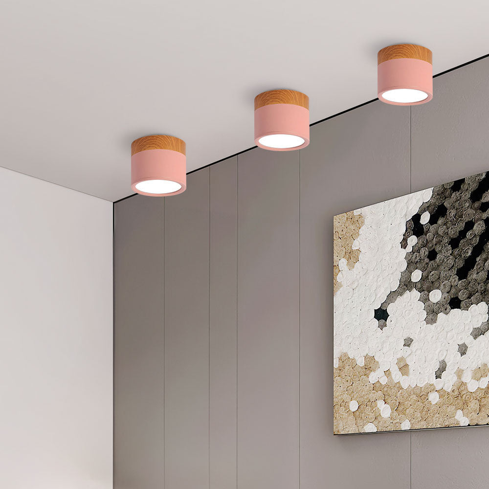 Small Cylinder Flush Ceiling Light – Aluminium, 2 Sizes (5W/7W)