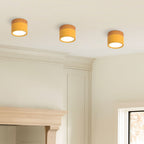 Small Cylinder Flush Ceiling Light – Aluminium, 2 Sizes (5W/7W)