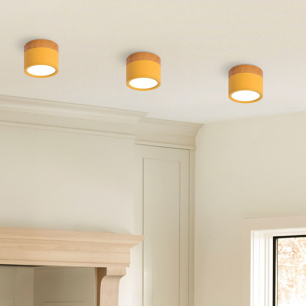 Small Cylinder Flush Ceiling Light – Aluminium, 2 Sizes (5W/7W)