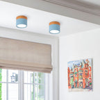 Small Cylinder Flush Ceiling Light – Aluminium, 2 Sizes (5W/7W)