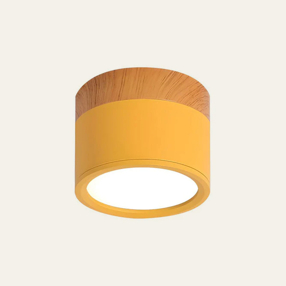 Small Cylinder Flush Ceiling Light – Aluminium, 2 Sizes (5W/7W)