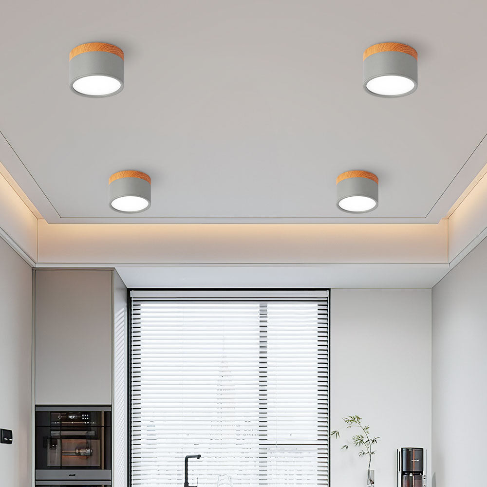 Small Cylinder Flush Ceiling Light – Aluminium, 2 Sizes (5W/7W)