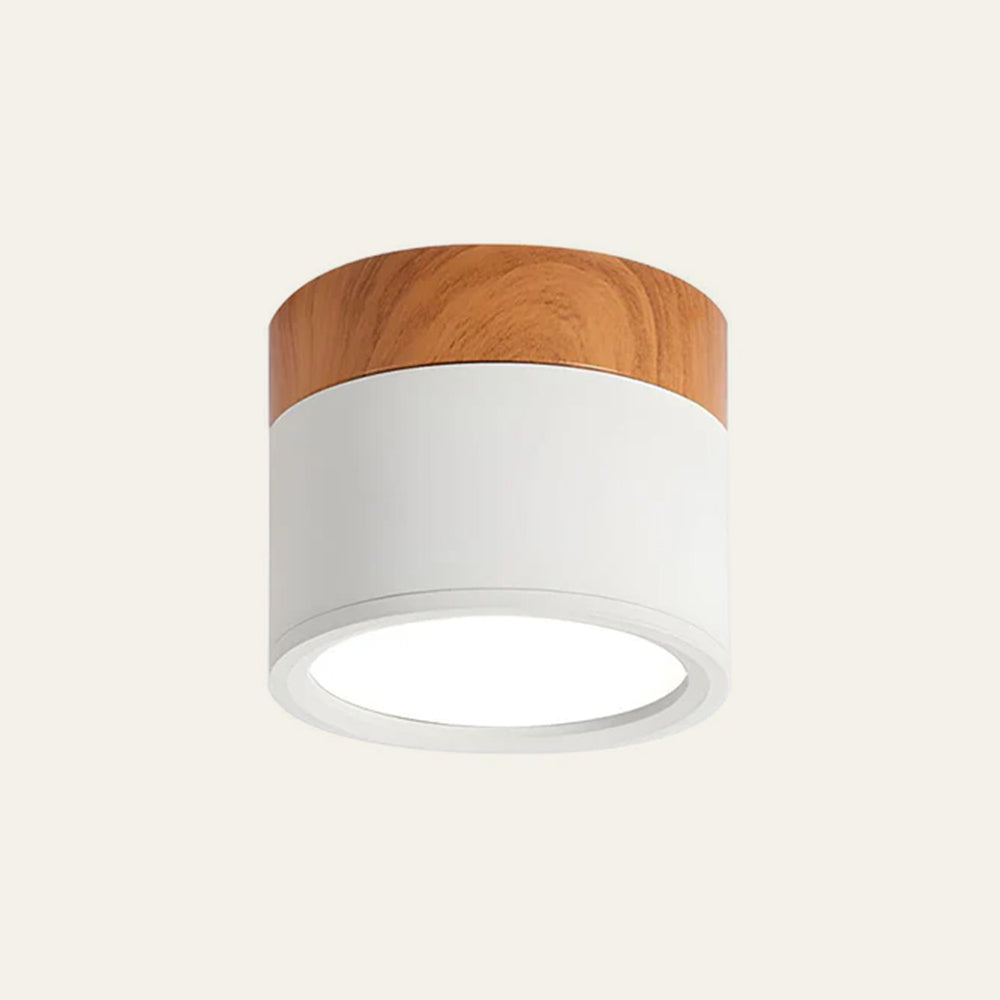 Small Cylinder Flush Ceiling Light – Aluminium, 2 Sizes (5W/7W)