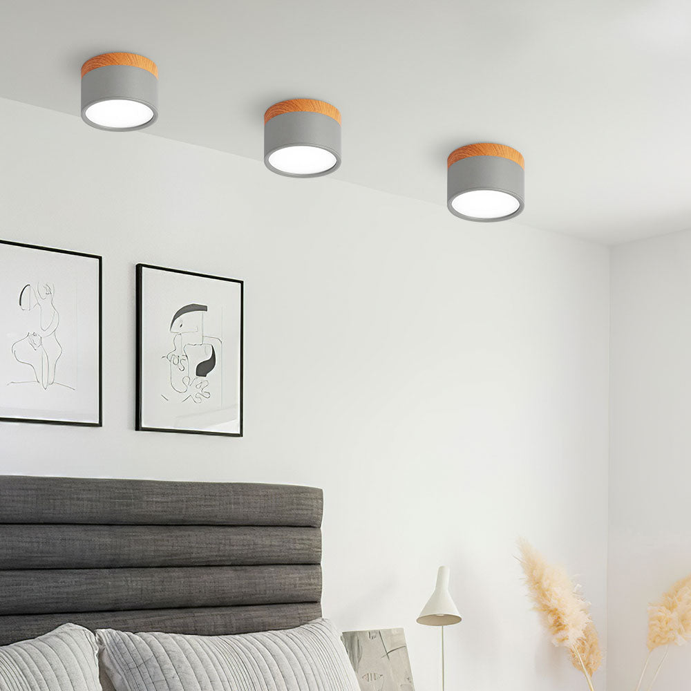 Small Cylinder Flush Ceiling Light – Aluminium, 2 Sizes (5W/7W)