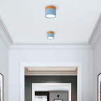 Small Cylinder Flush Ceiling Light – Aluminium, 2 Sizes (5W/7W)