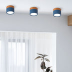 Small Cylinder Flush Ceiling Light – Aluminium, 2 Sizes (5W/7W)