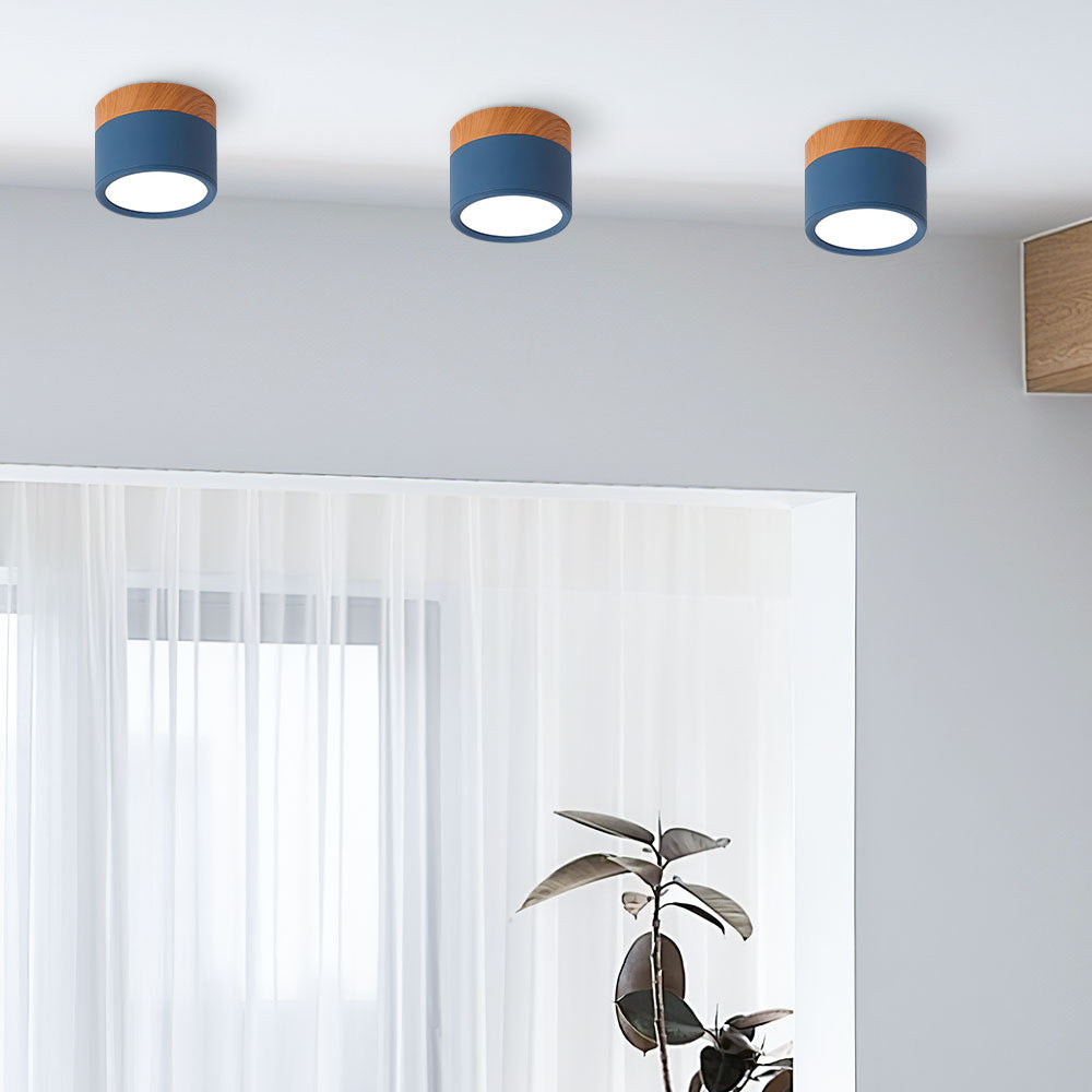 Small Cylinder Flush Ceiling Light – Aluminium, 2 Sizes (5W/7W)