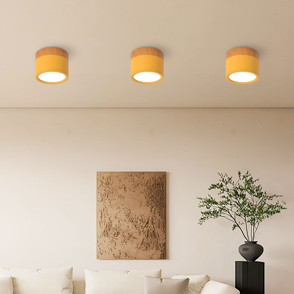 Small Cylinder Flush Ceiling Light – Aluminium, 2 Sizes (5W/7W)