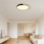 Colourful Round LED Ceiling Light – Acrylic Diffuser