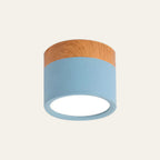 Small Cylinder Flush Ceiling Light – Aluminium, 2 Sizes (5W/7W)