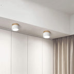 Small Cylinder Flush Ceiling Light – Aluminium, 2 Sizes (5W/7W)